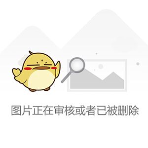 wii模拟器安卓版下载_(wii模拟器安卓版最新版)